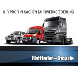 Federnsatz Dacia Duster 2WD (10-__) VERSTÄRKT!!!