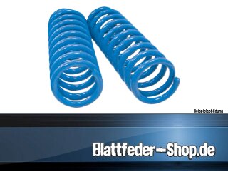 Federnsatz Honda Accord (93-__) VERSTÄRKT!!! [AA]