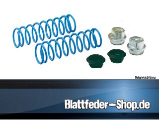 Niveaufedern Hyundai Gallopper (98-02) Version 1