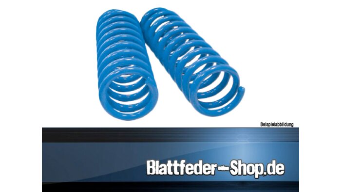 Federnsatz Mercedes-Benz E-Klasse (95-02) VERSTÄRKT!!!