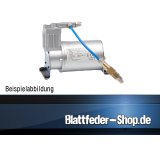 Zusatzluftfederung Ford Pick-UP F-150 (2010-2014) 2WD 1-Kreis Anlage