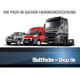 Zusatzluftfederung (XXL) Ford Transit Pritsche (24-__) FWD (EB) [BT V2]