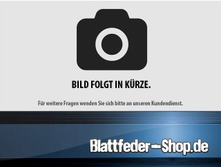 Befestigungsschraube 16 x 060mm (inkl. Mutter)