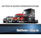 Federnsatz Fiat Doblo (12-__) Verstärkt! HD! [min. Beladung 500kg!!!]